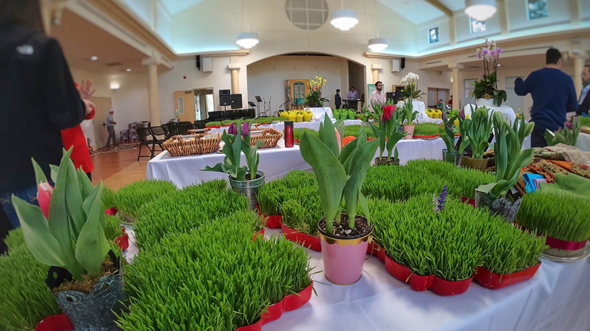 Iranian Scholarship Foundation Nowruz Event